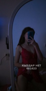 Проститутка Караганды Девушка№481623 Айару Фотография №3637127