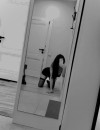 Фотография №3673238