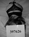 Фотография №3681861