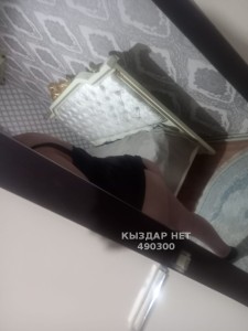 Проститутка Шымкента Анкета №490300 Фотография №3707354